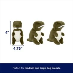 Frisco Volcano Hide & Seek Puzzle Plush Squeaky Dog Toy & Frisco Trash Can & Raccoons Hide & Seek Puzzle Plush Squeaky Dog Toy -Blue Buffalos Shop 962054 PT3. AC SS1800 V1694783952