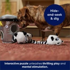 Frisco Volcano Hide & Seek Puzzle Plush Squeaky Dog Toy & Frisco Trash Can & Raccoons Hide & Seek Puzzle Plush Squeaky Dog Toy -Blue Buffalos Shop 962054 PT8. AC SS1800 V1694783037
