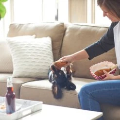 Frisco Corndog Interactive Plush Squeaky Dog Toy & Frisco Guacamole Hide & Seek Puzzle Plush Squeaky Dog Toy 14 Frisco Corndog Interactive Plush Squeaky Dog Toy & Frisco Guacamole Hide & Seek Puzzle Plush Squeaky Dog Toy -Blue Buffalos Shop 962086 PT3. AC SS1800 V1694782979