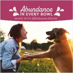 Natural Balance Fat Dogs Chicken & Salmon Formula Low Calorie Dry Dog Food -Blue Buffalos Shop 963702 PT5. AC SS1800 V1695055625