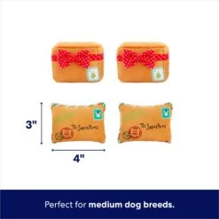 Frisco Holiday Hot Cocoa Hide & Seek Puzzle Plush Squeaky Dog Toy & Frisco Holiday North Pole Mailbox Hide & Seek Puzzle Plush Squeaky Dog Toy -Blue Buffalos Shop 986166 PT7. AC SS1800 V1698258463