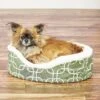 MidWest QuietTime Defender Orthopedic Bolster Cat & Dog Bed With Removable Cover 2 MidWest QuietTime Defender Orthopedic Bolster Cat & Dog Bed With Removable Cover -Blue Buffalos Shop 99103 MAIN. AC SS1800 V1566935537