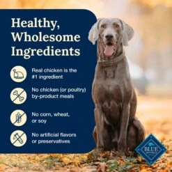 Blue Buffalo Delectables Chicken Dinner Natural Wet Dog Food 3-oz Pouch, Case Of 24 15 Blue Buffalo Delectables Chicken Dinner Natural Wet Dog Food 3-oz Pouch, Case Of 24 -Blue Buffalos Shop 992806 PT5. AC SS1800 V1699023084