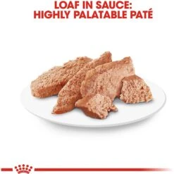 Royal Canin Breed Health Nutrition Yorkshire Terrier Adult Loaf In Sauce Dog Food -Blue Buffalos Shop 99663 PT5. AC SS1800 V1592850979