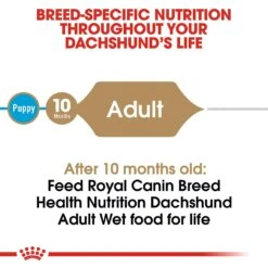 Royal Canin Breed Health Nutrition Dachshund Adult Loaf In Sauce Canned Dog Food 14 Royal Canin Breed Health Nutrition Dachshund Adult Loaf In Sauce Canned Dog Food -Blue Buffalos Shop 99665 PT3. AC SS1800 V1592564453