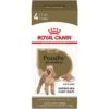 Royal Canin Breed Health Nutrition Poodle Adult Loaf In Sauce Canned Dog Food -Blue Buffalos Shop 99667 MAIN. AC SS1800 V1592948781