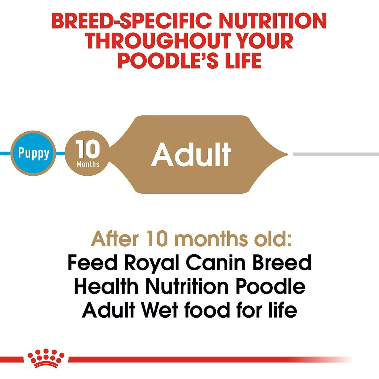 Royal Canin Breed Health Nutrition Poodle Adult Loaf In Sauce Canned Dog Food 6 Royal Canin Breed Health Nutrition Poodle Adult Loaf In Sauce Canned Dog Food - Image 4